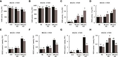 Transcriptomic and metabolic regulatory network characterization of drought responses in tobacco